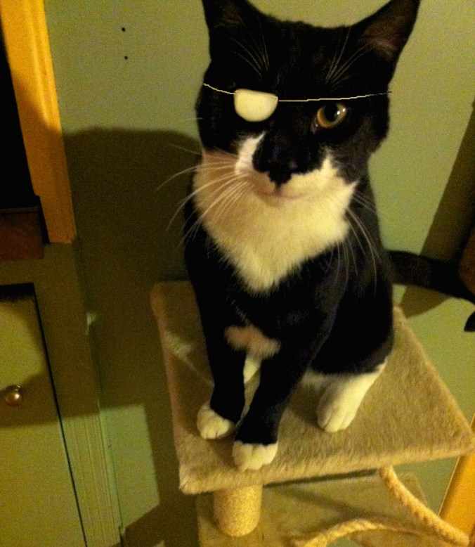 photo copy 5 - Version 2